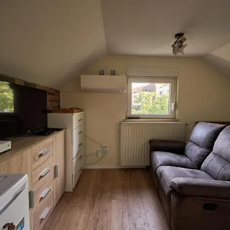 Studio Apartment In The Center Of Ljubljana