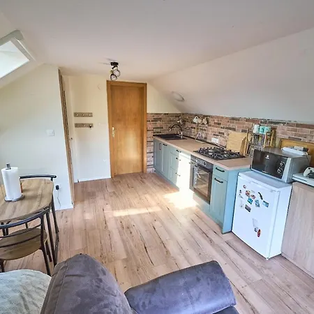 Studio Apartment In The Center Of Ljubljana